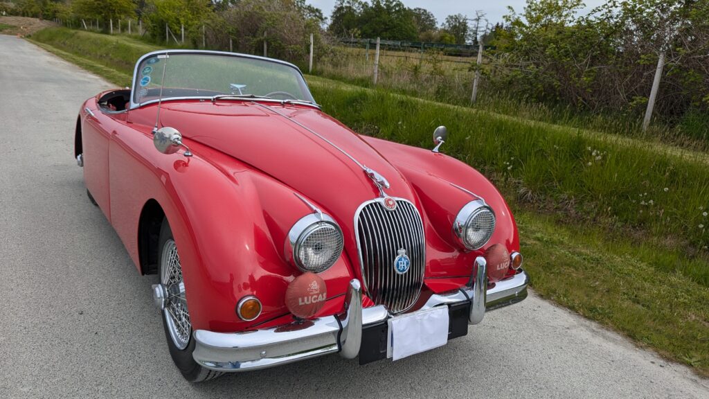 beauty shot jaguar